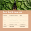 Living Essential Drops | Energy Focus Freshness supplement | For Atheletes Gym Goers Business Men & Women Students & Home Makers Natural Performance supplement Health Supplement - 60 Serves