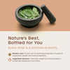 Living Essential Moringa Capsules Organic - 90 Vegan Capsules - Powerful Moringa Breastfeeding Supplement - Pure Moringa for Energy, Vitality, Wellness - Non-GMO, Gluten-Free, Natural