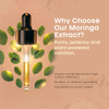 Living Essential Moringa Extract - Cold Extract Moringa Liquid Drops - Moringa Leaf Extract - Pure Moringa Liquid Supplement - Moringa Drops for Weight Loss - Organic Moringa Extract Liquid