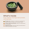 Living Essential Moringa Extract - Cold Extract Moringa Liquid Drops - Moringa Leaf Extract - Pure Moringa Liquid Supplement - Moringa Drops for Weight Loss - Organic Moringa Extract Liquid