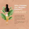 Living Essential Mullein Leaf Extract for Lungs - Organic Mullein Drops - Natural Lung Detox & Support - Mullein Tincture for Coughing Relief - Wild Mullein Liquid Extract - 420,000 mg Concentration