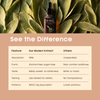 Living Essential Mullein Leaf Extract for Lungs - Organic Mullein Drops - Natural Lung Detox & Support - Mullein Tincture for Coughing Relief - Wild Mullein Liquid Extract - 420,000 mg Concentration