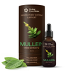 Living Essential Mullein Leaf Extract for Lungs - Organic Mullein Drops - Natural Lung Detox & Support - Mullein Tincture for Coughing Relief - Wild Mullein Liquid Extract - 420,000 mg Concentration